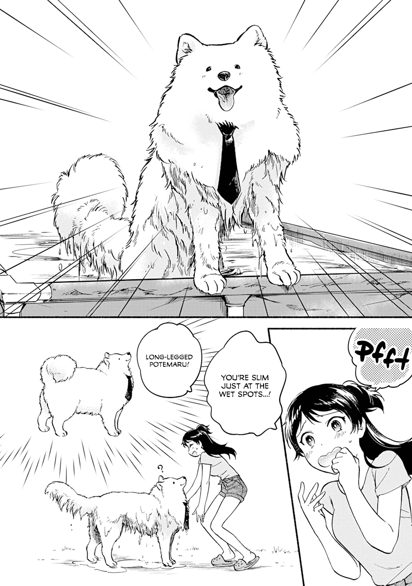 One-Room, Dog - Chapter 13: Summer Doggo