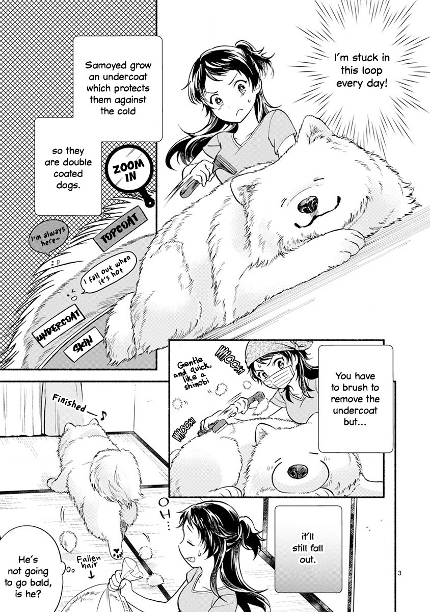 One-Room, Dog - Chapter 6: Bonding Through Shedding Fluff