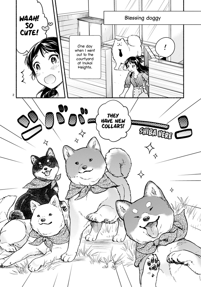 One-Room, Dog - Chapter 17: Shiba Inu Family