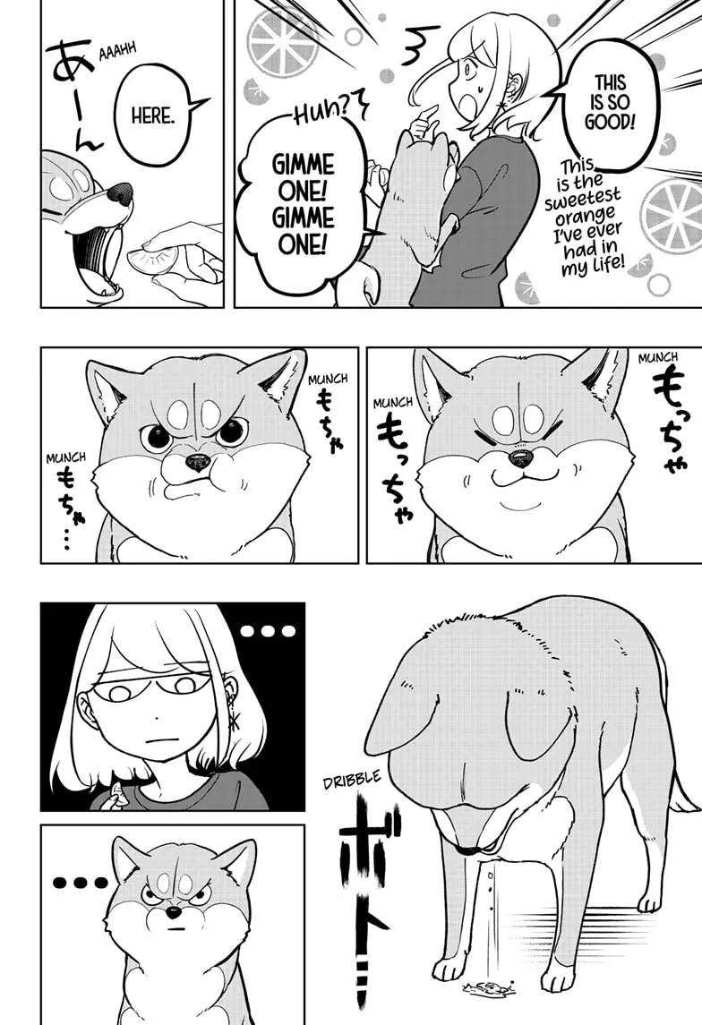 Shiba Inu Rooms - Chapter 5