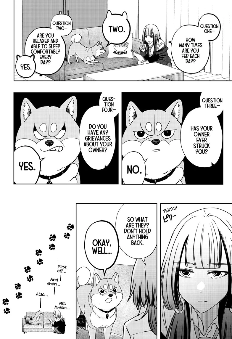 Shiba Inu Rooms - Chapter 14