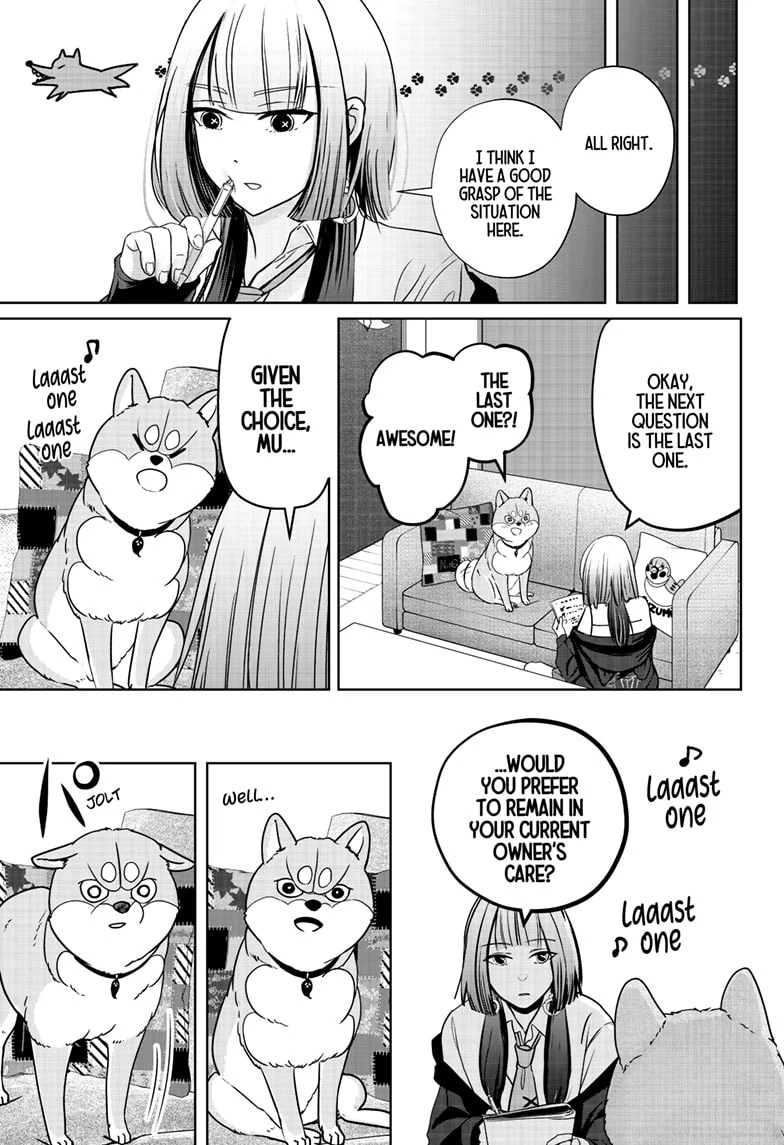 Shiba Inu Rooms - Chapter 14