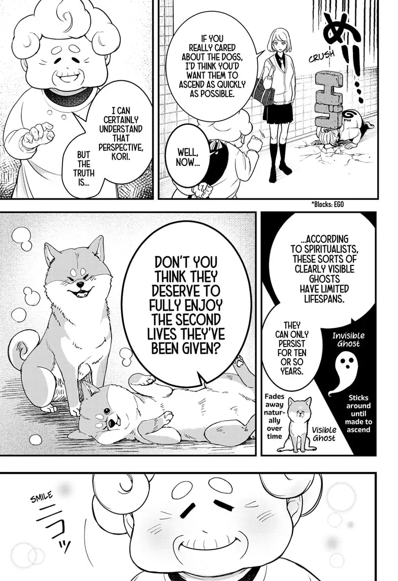 Shiba Inu Rooms - Chapter 1