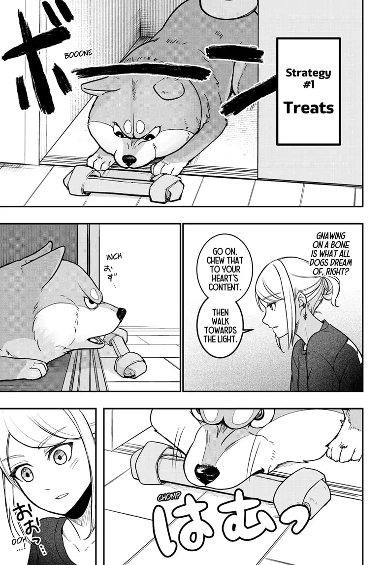 Shiba Inu Rooms - Chapter 1