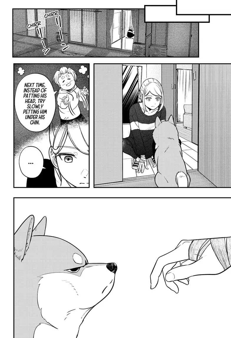 Shiba Inu Rooms - Chapter 1