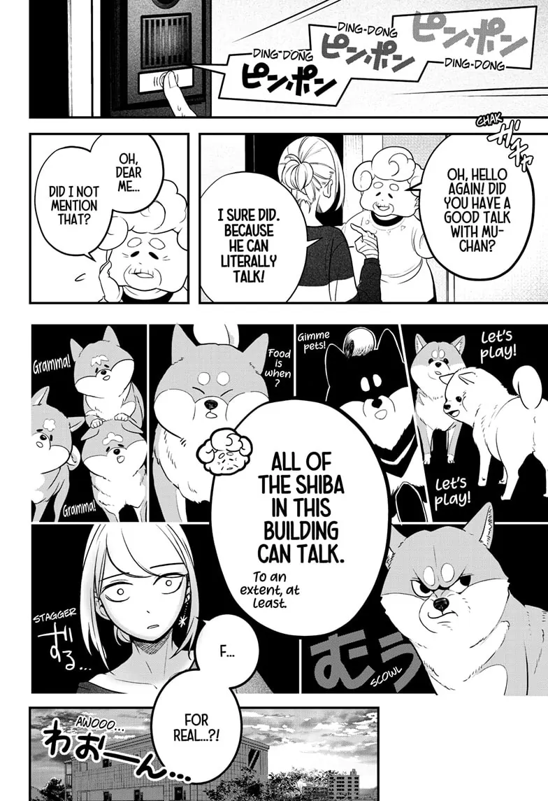 Shiba Inu Rooms - Chapter 1