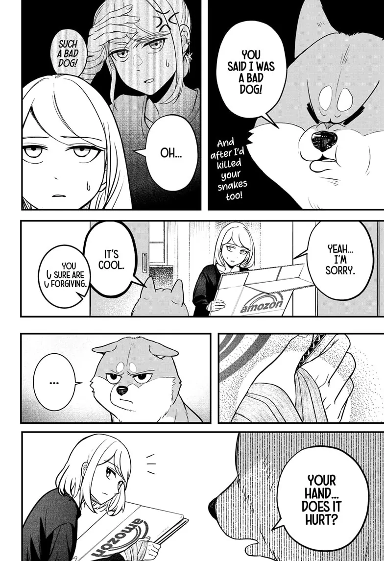 Shiba Inu Rooms - Chapter 1