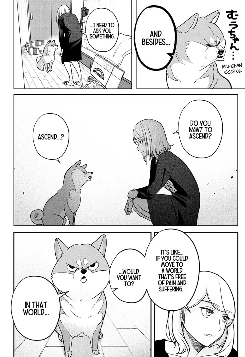 Shiba Inu Rooms - Chapter 1