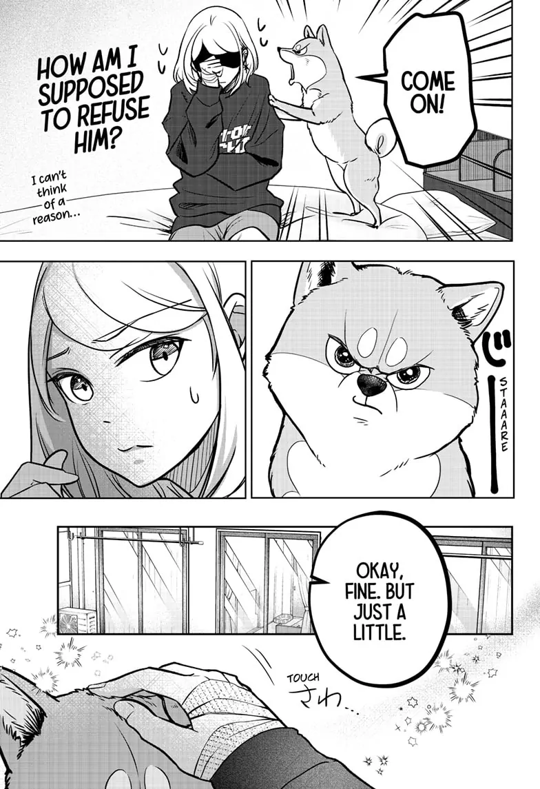 Shiba Inu Rooms - Chapter 2