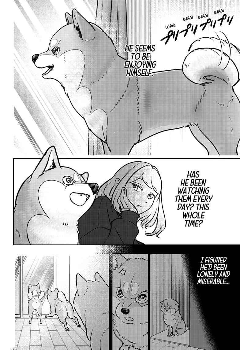 Shiba Inu Rooms - Chapter 2