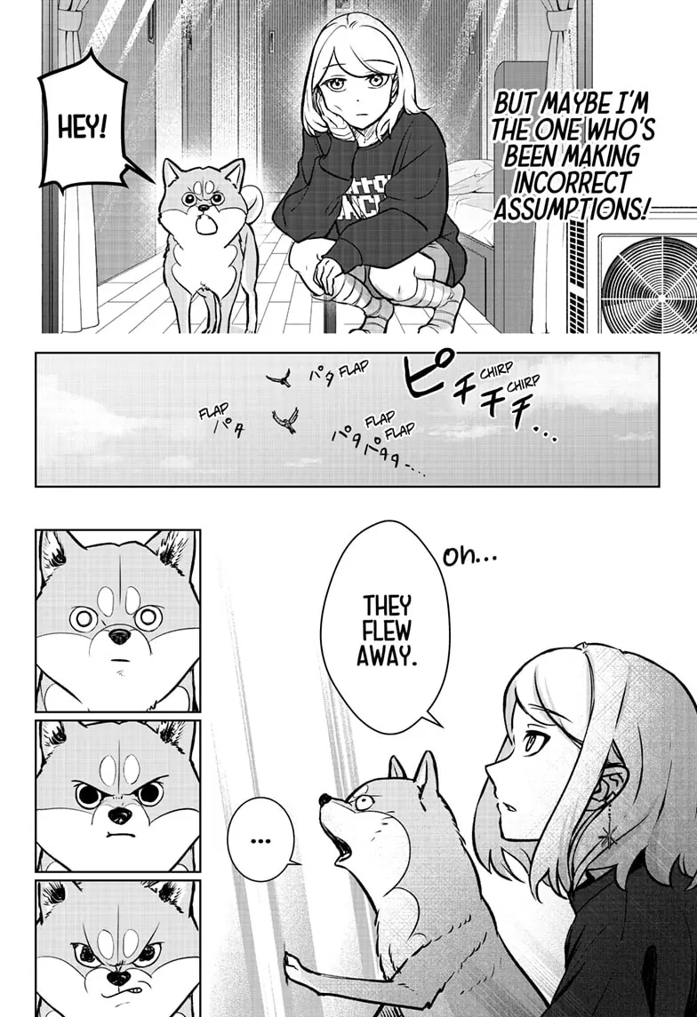 Shiba Inu Rooms - Chapter 2