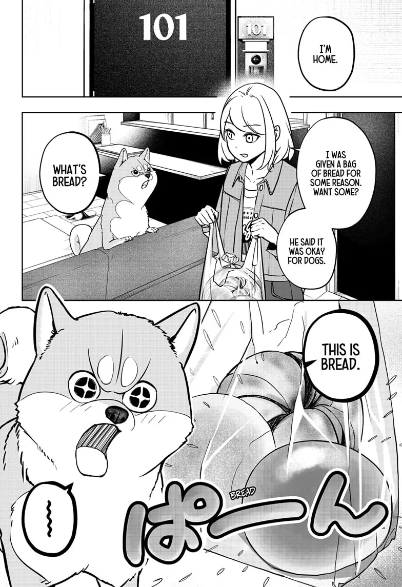 Shiba Inu Rooms - Chapter 4