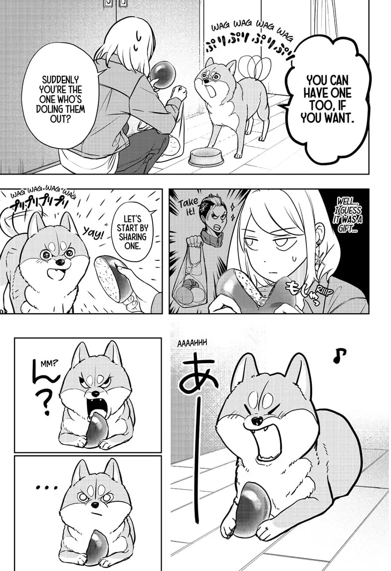 Shiba Inu Rooms - Chapter 4