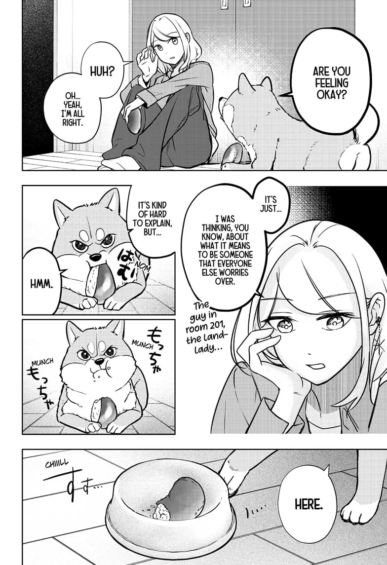 Shiba Inu Rooms - Chapter 4