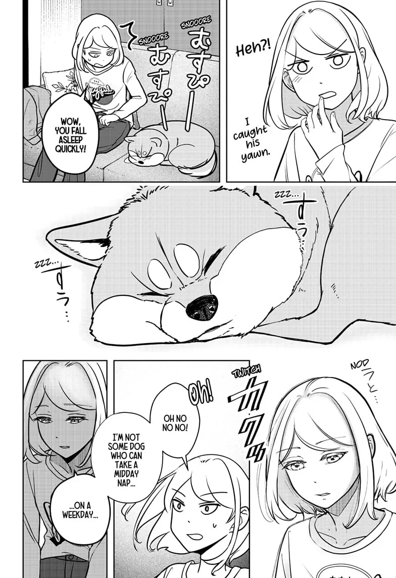 Shiba Inu Rooms - Chapter 4