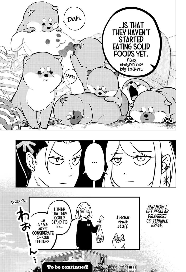 Shiba Inu Rooms - Chapter 4