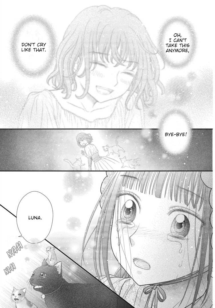 Champignon No Majo - Vol.3 Chapter 10.5: I Can't Go Back To The Cat Forest