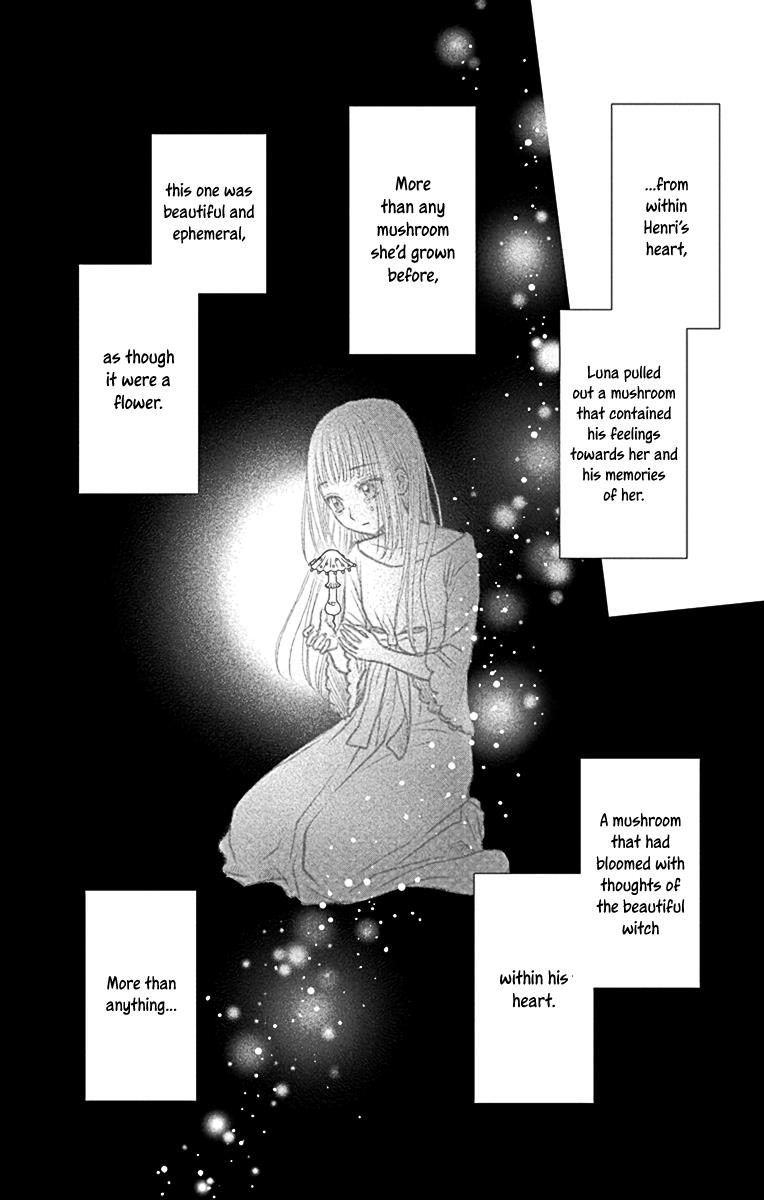 Champignon No Majo - Vol.1 Chapter 4: A Person Of Fate