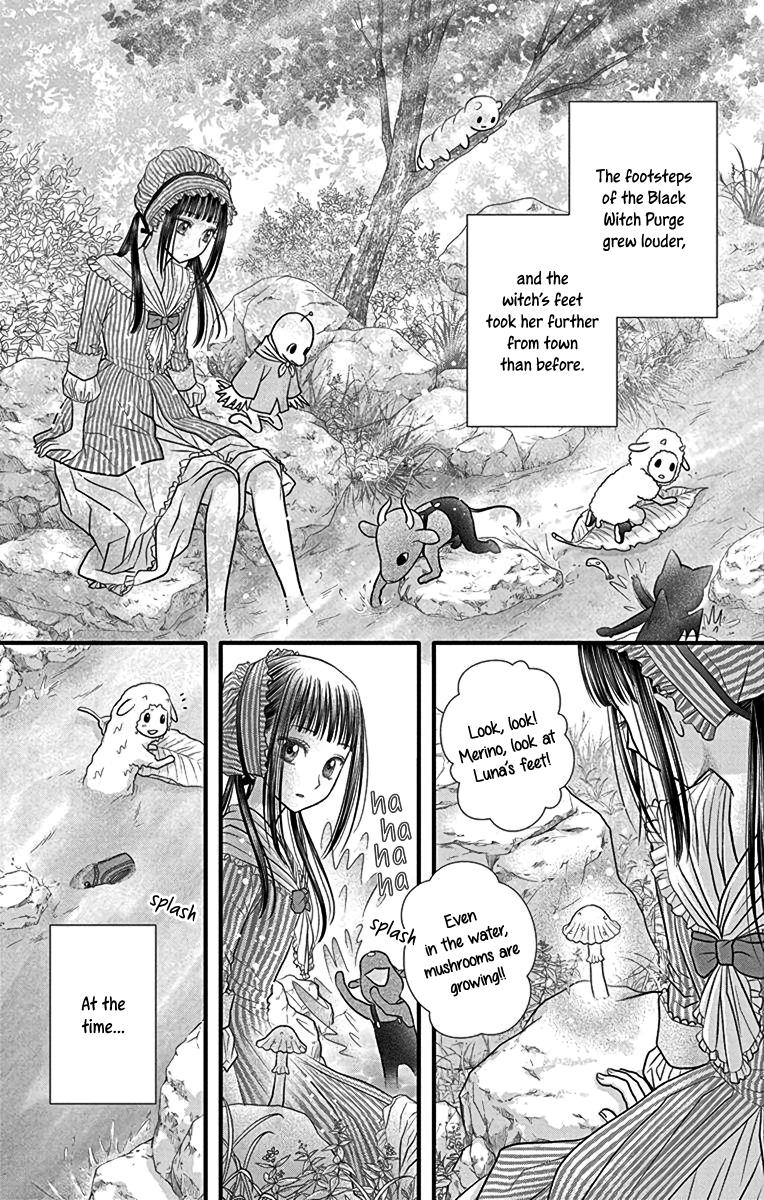 Champignon No Majo - Vol.1 Chapter 4: A Person Of Fate