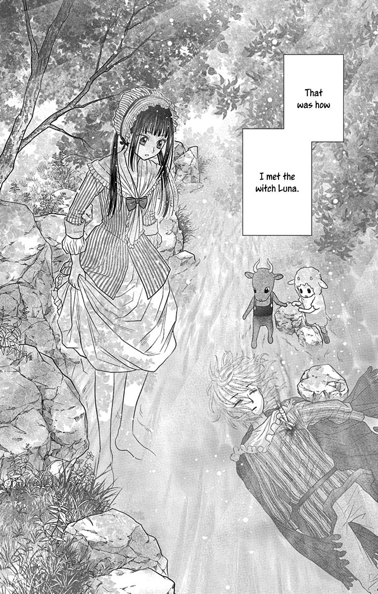 Champignon No Majo - Vol.1 Chapter 4: A Person Of Fate