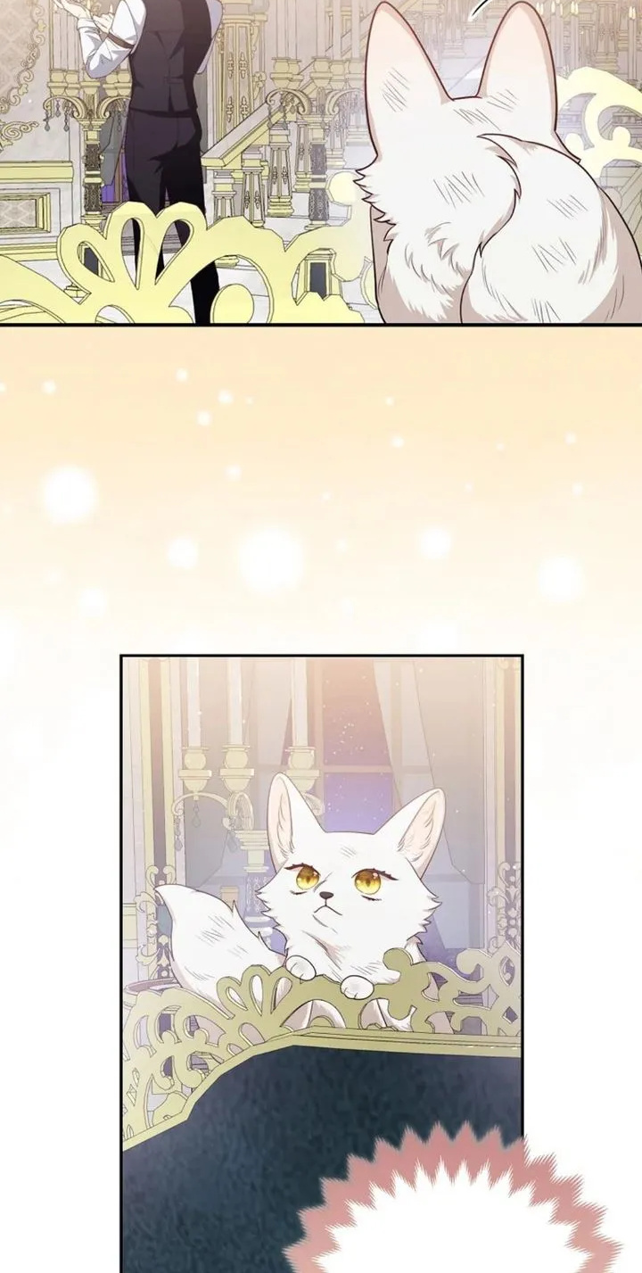 The Grand Duke's Fox Princess - Chapter 3