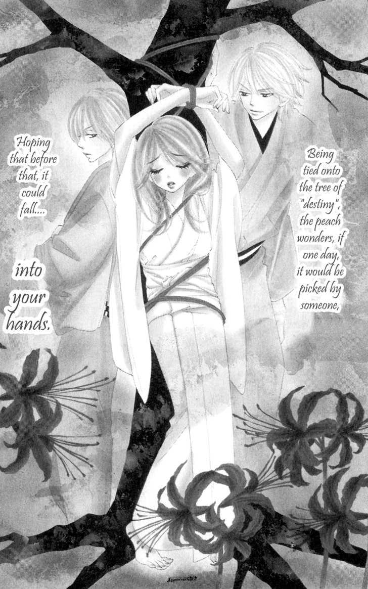 Black Bird - Vol.3 Chapter 13