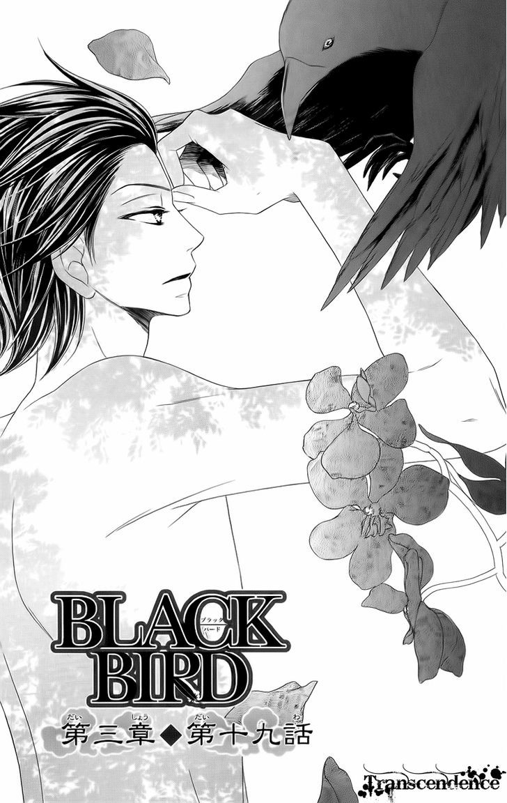 Black Bird - Vol.13 Chapter 51