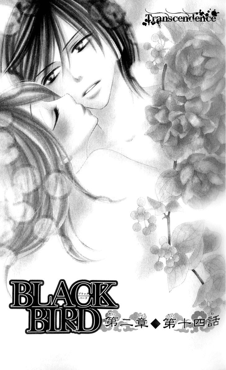 Black Bird - Vol.5 Chapter 19