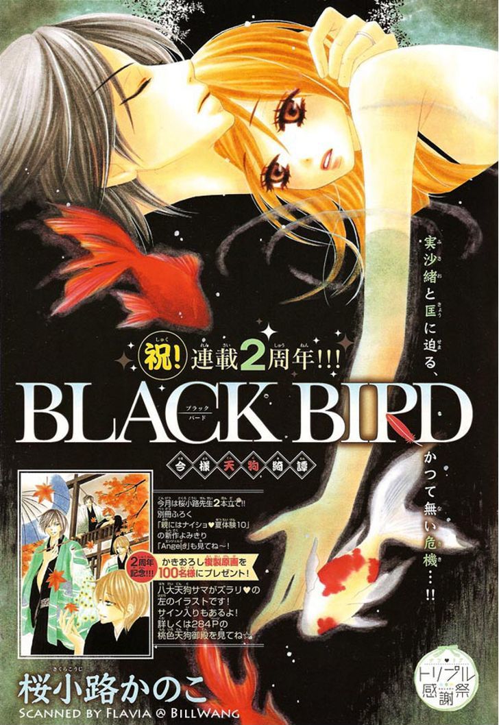 Black Bird - Vol.6 Chapter 24