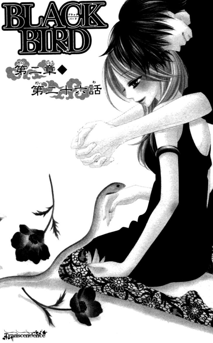 Black Bird - Vol.8 Chapter 31