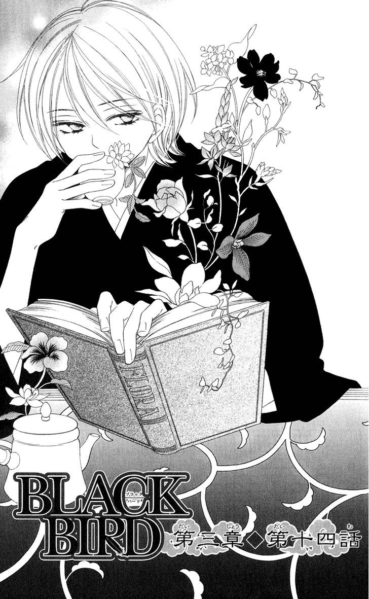 Black Bird - Vol.12 Chapter 46