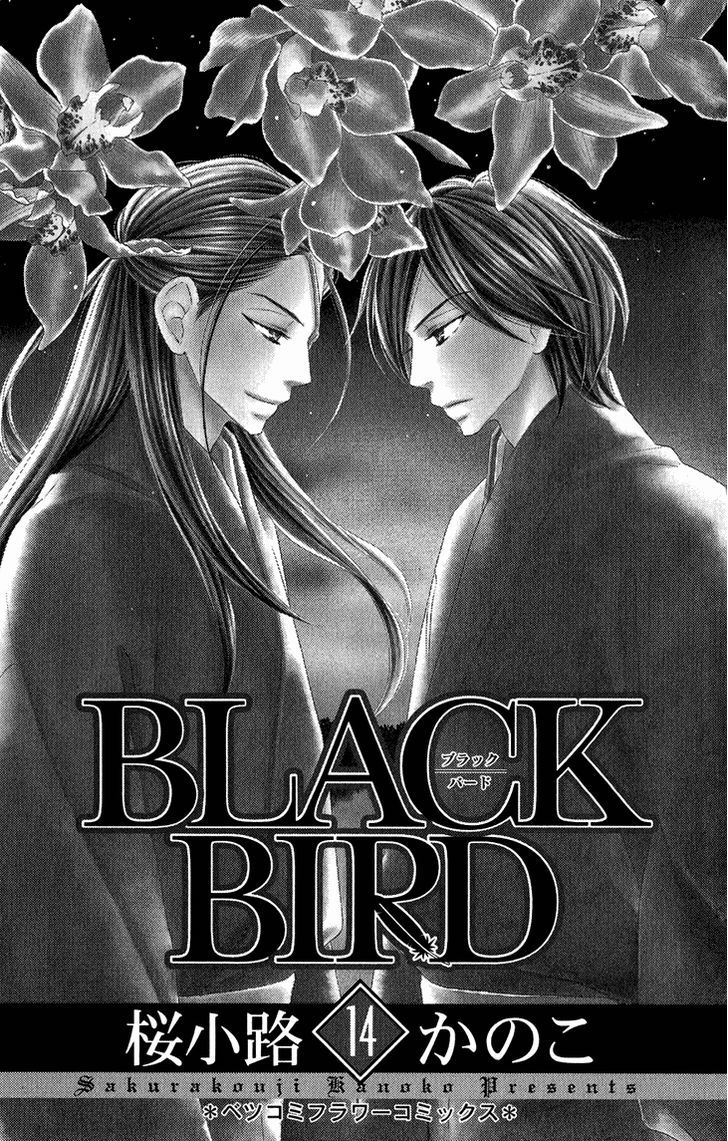 Black Bird - Vol.14 Chapter 52