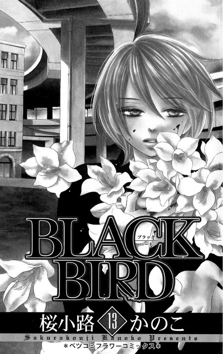 Black Bird - Vol.13 Chapter 48