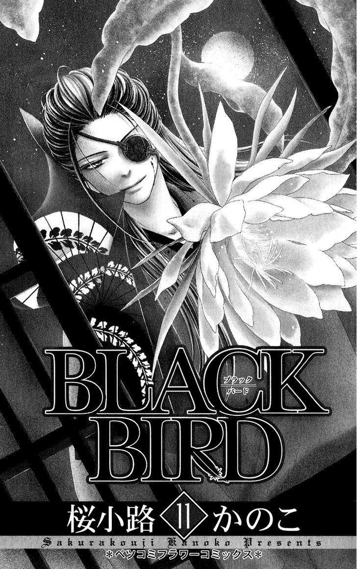 Black Bird - Vol.11 Chapter 40