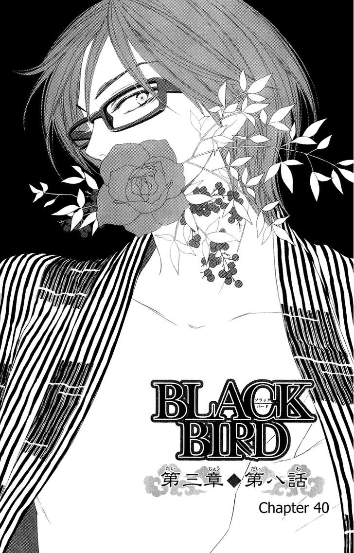 Black Bird - Vol.11 Chapter 40