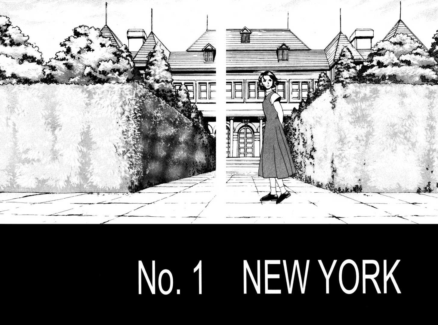 Project Arms - Vol.11 Chapter 1 : New York