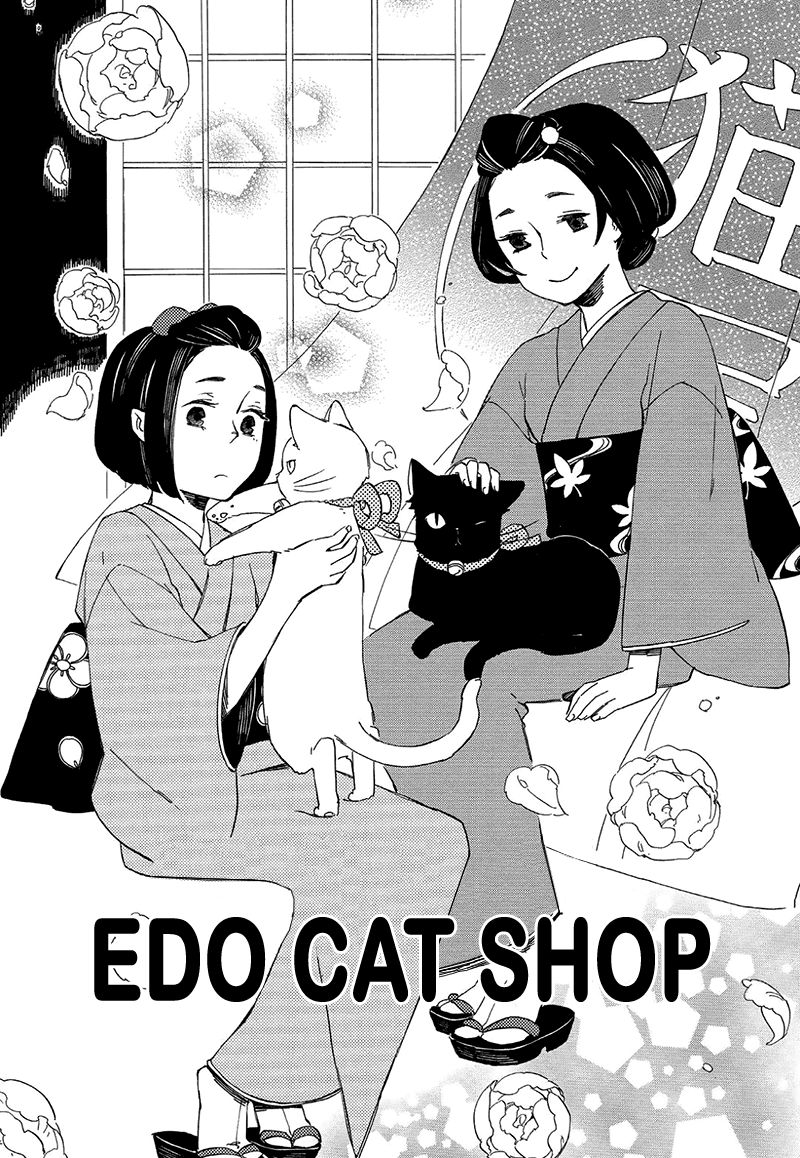 Kottou Nekoya - Chapter 4