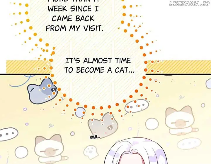 I Became The Sultan’s Precious Cat - Chapter 54