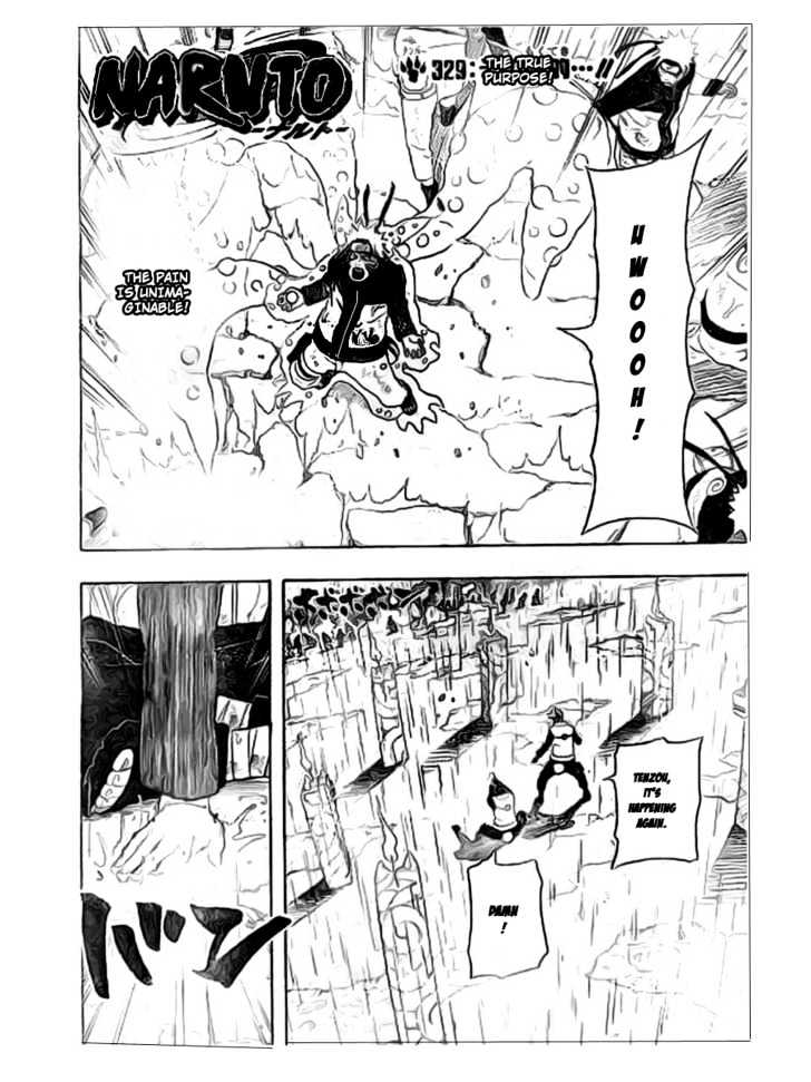 Naruto - Vol.36 Chapter 329 : The True Purpose