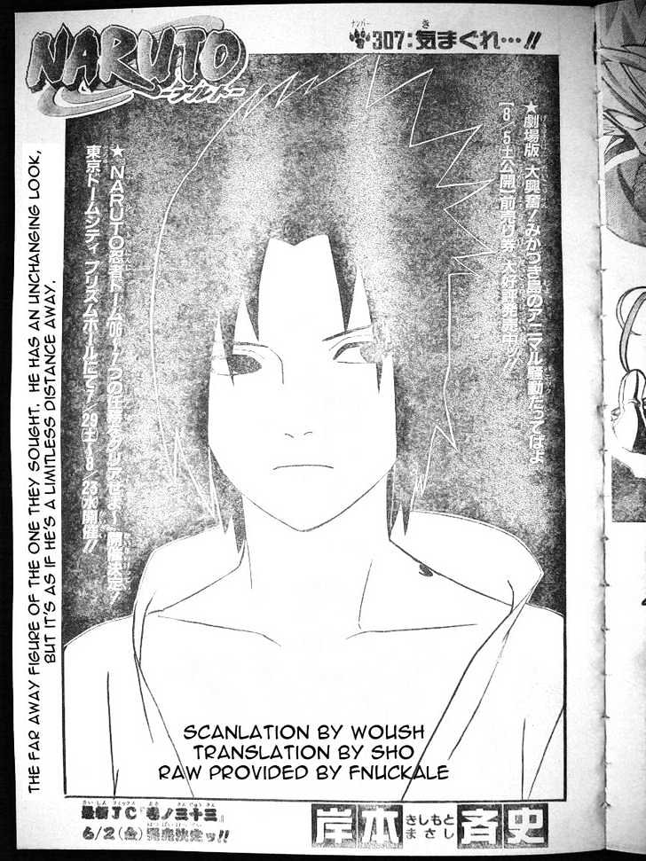 Naruto - Vol.34 Chapter 307 : On A Whim...!!