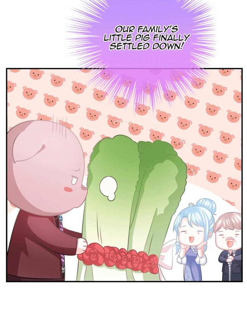 The Icy Chairman’s Cute Little Wife - Chapter 80