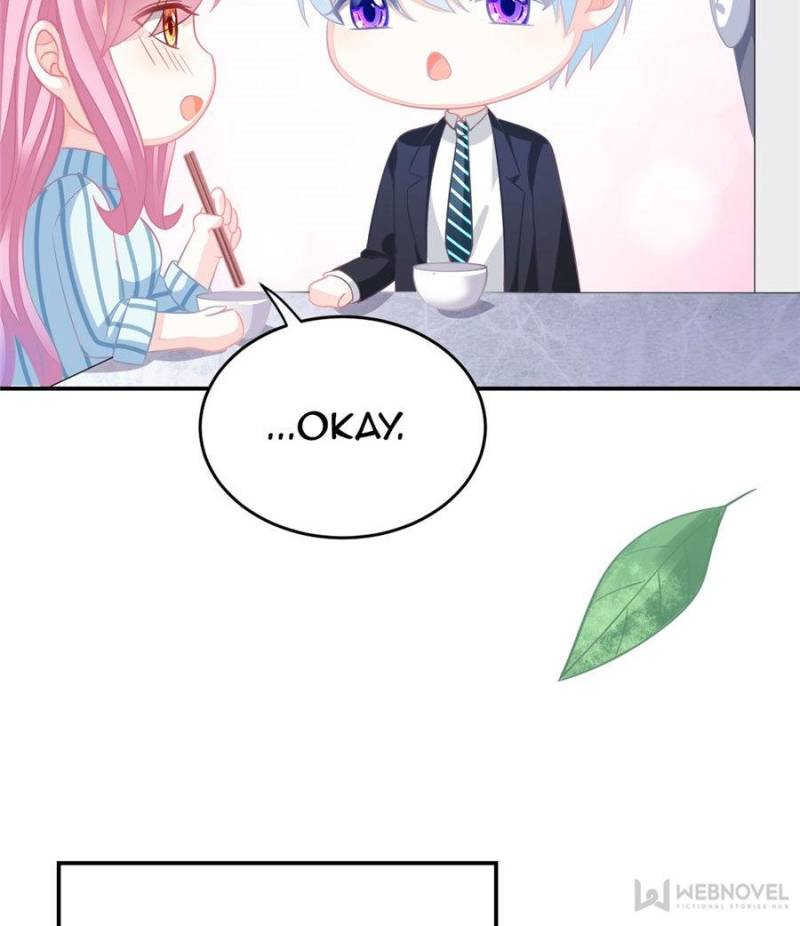 The Icy Chairman’s Cute Little Wife - Chapter 66