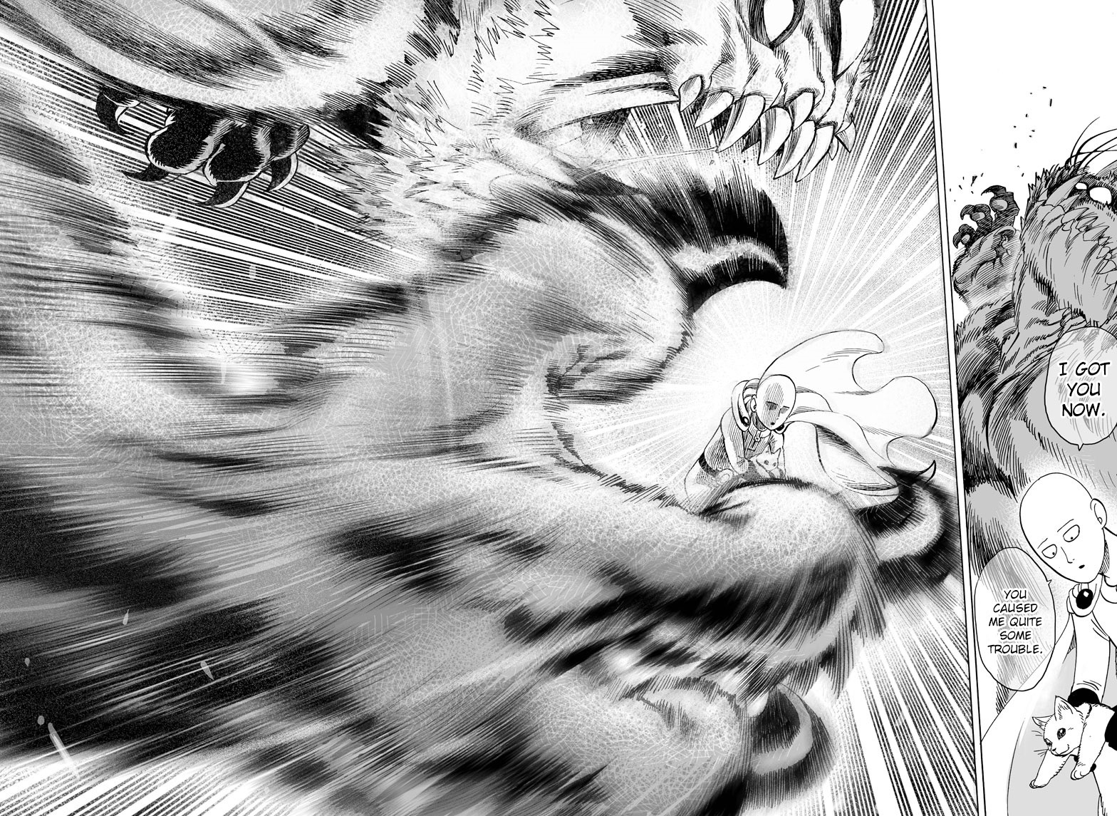 Onepunch-Man - Chapter 40.1: Lost Cat