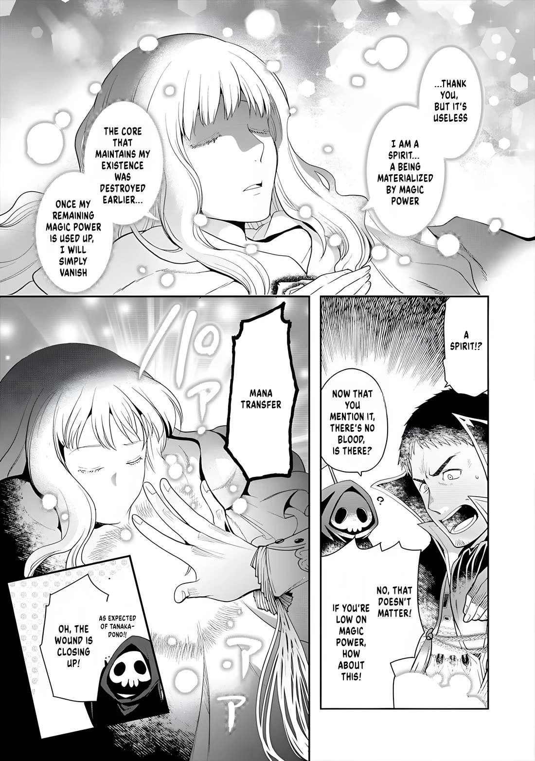 The Rise Of Tanaka In Another World - Chapter 7: The Beautiful Spirit