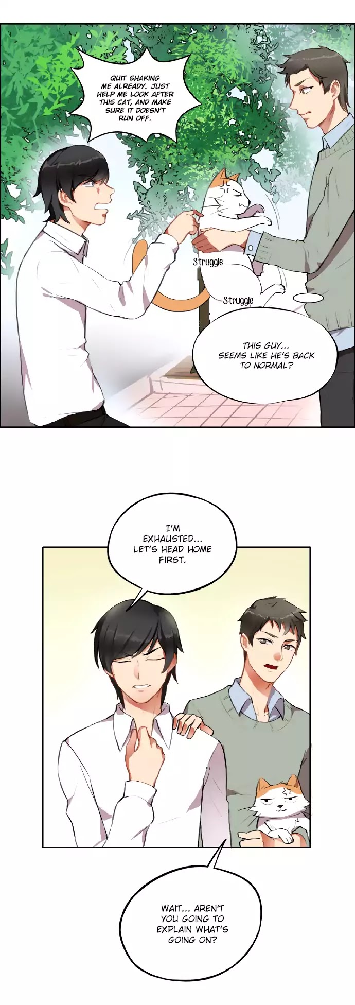 Mister Cat - Chapter 29: New Owner