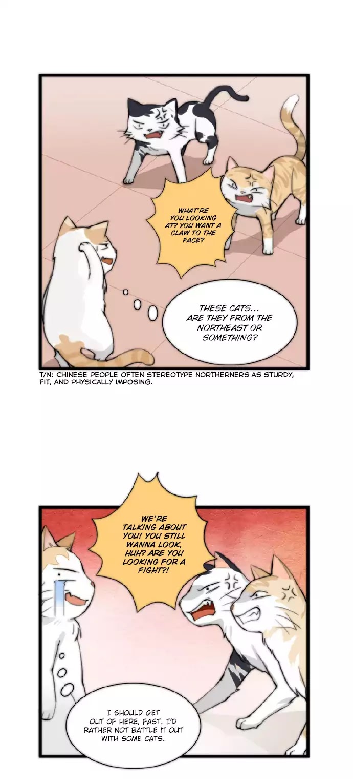 Mister Cat - Chapter 24: My Cat Is Internet Famous?