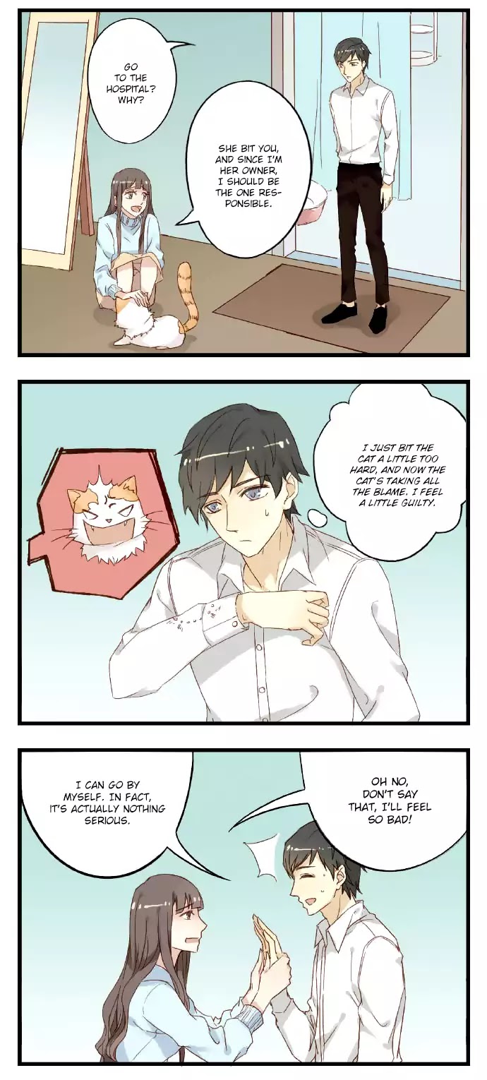 Mister Cat - Chapter 20: Switchswitchswitchswitchswitch