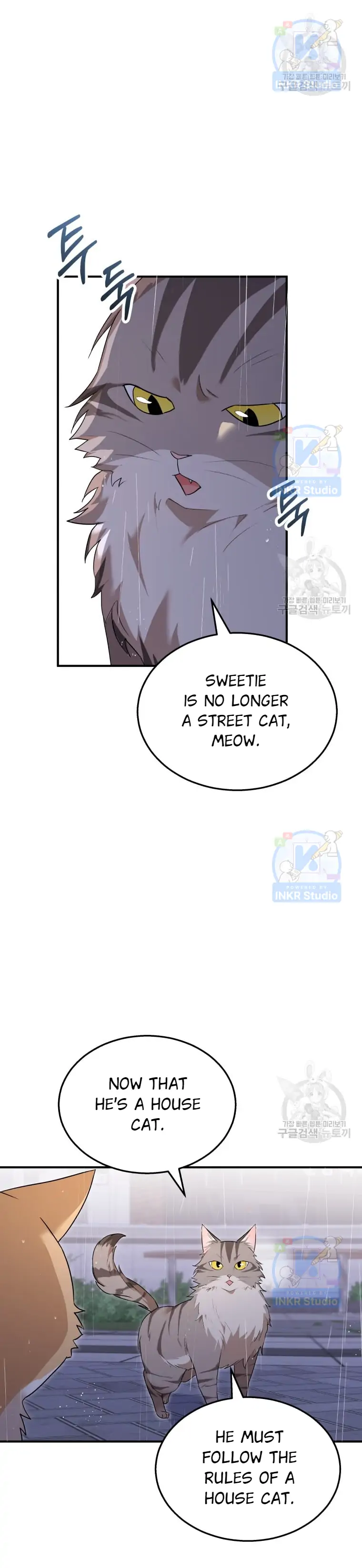 Hello! Veterinarian! - Chapter 6