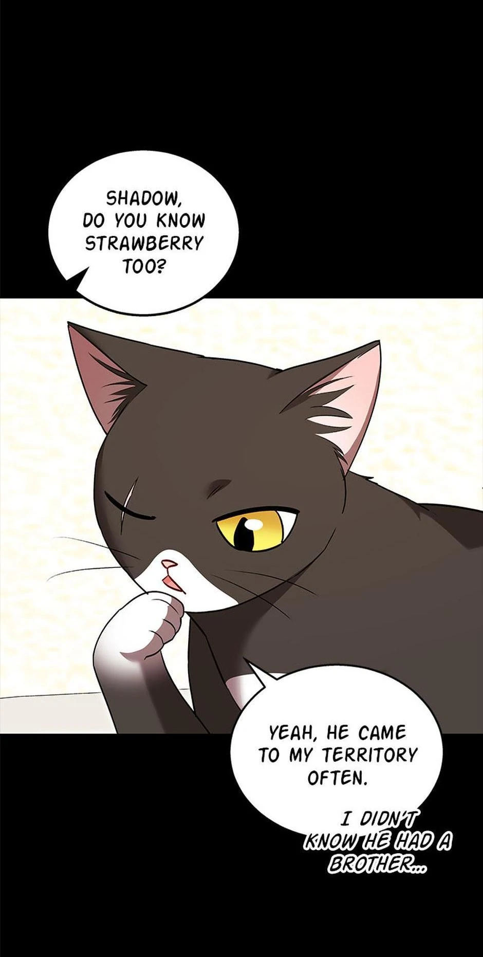 Hello! Veterinarian! - Chapter 35