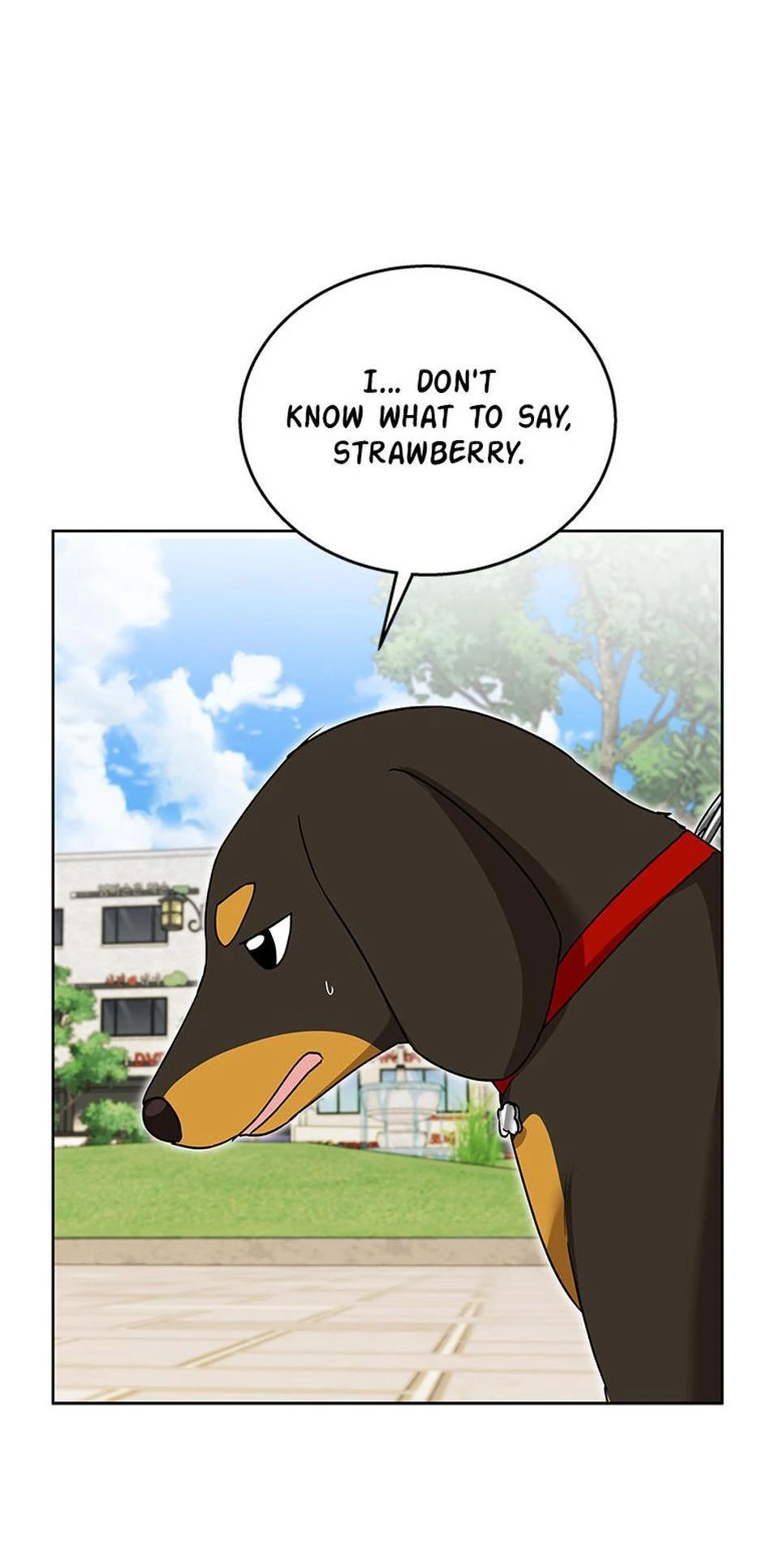 Hello! Veterinarian! - Chapter 32